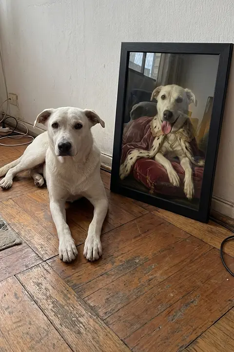 Perro blanco mestizo echado en piso de madera junto a su retrato renacentista enmarcado